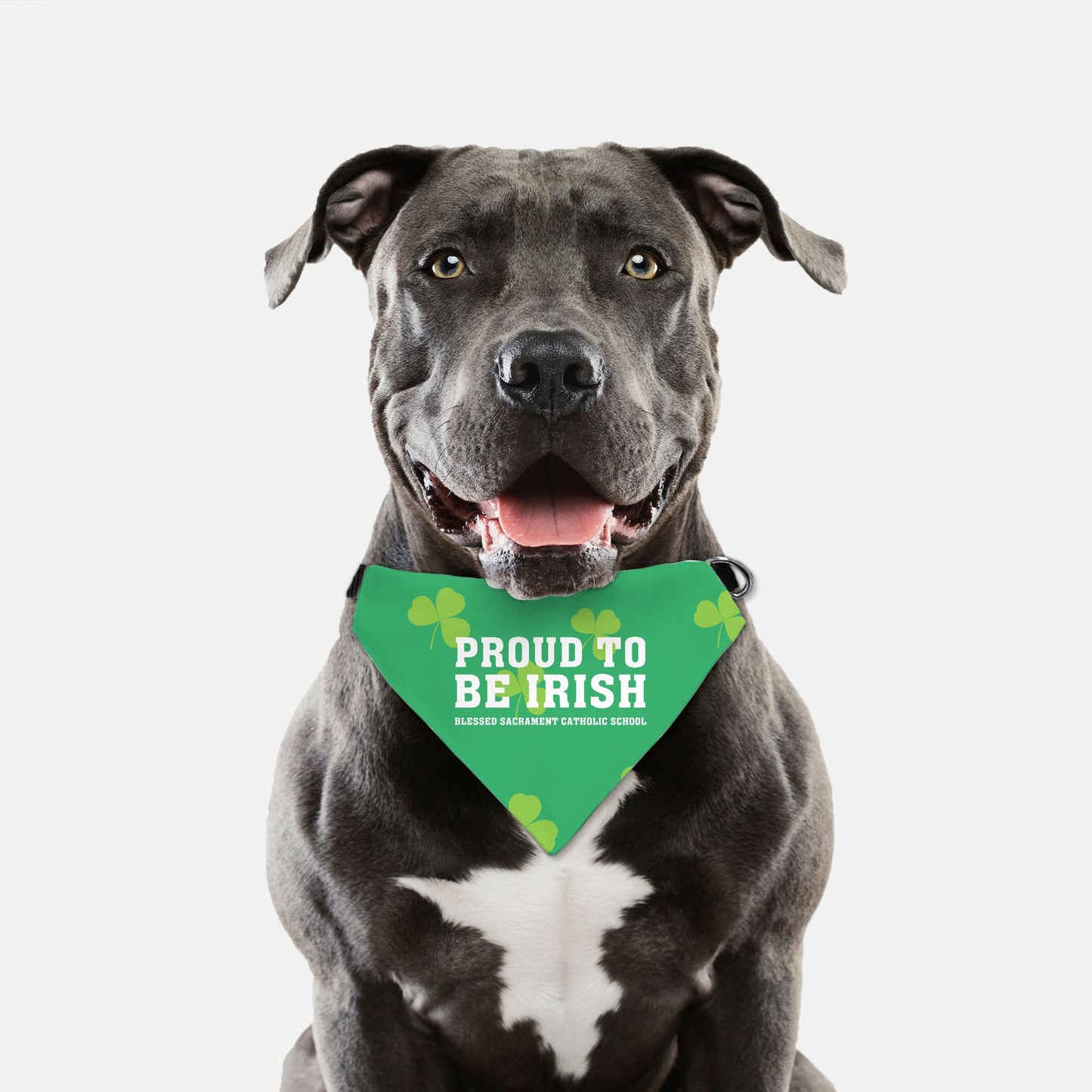 Proud to be Irish Collar Pet Bandana (LG & XL)