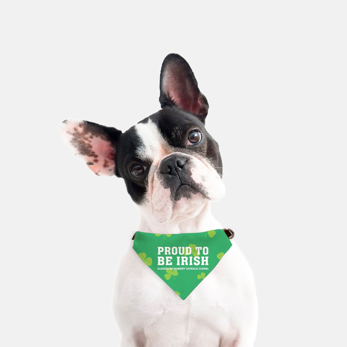 Proud to be Irish Collar Pet Bandana (Sm & Med)
